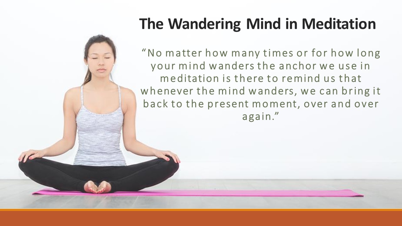 The Wandering Mind and Finding a Suitable Anchor of Attention in Meditation