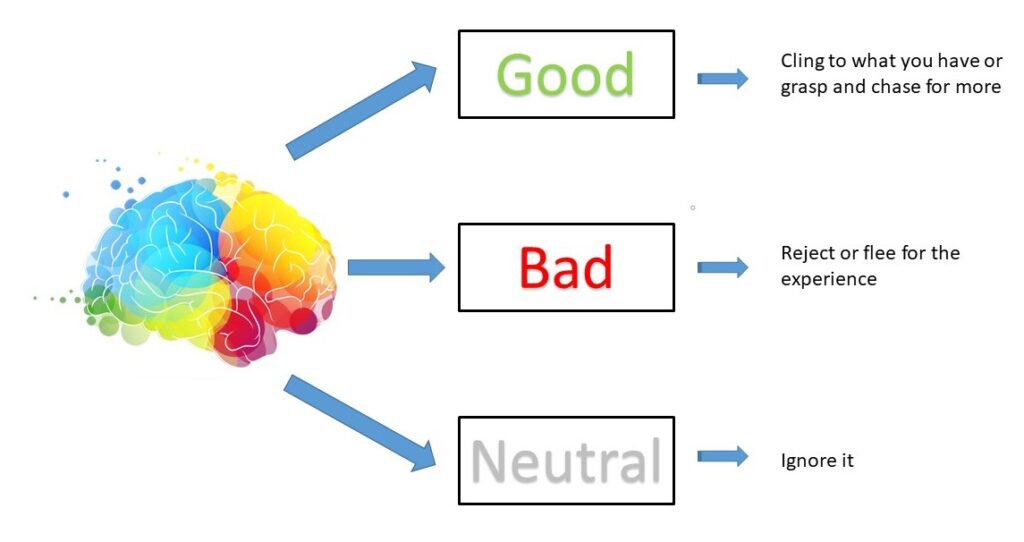 Non-Judgemental (Part 1): Is Being judgemental our default setting? Non-judgemental awareness and the judging mind is it good bad or neutral