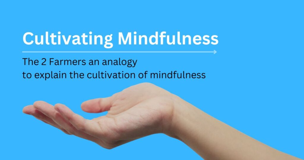 Cultivating Mindfulness analogy